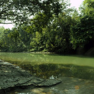 Bardiya